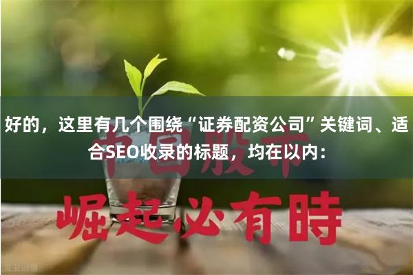 好的，这里有几个围绕“证券配资公司”关键词、适合SEO收录的标题，均在以内：